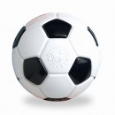 Piłka nożna(informacje)